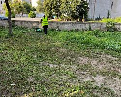 Εργασίες καθαρισμού και συντήρησης πρασίνου κοινοχρήστων χώρων στον δήμο Αλμωπίας