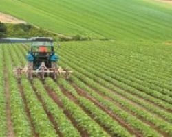 Ξεκίνησαν οι αιτήσεις για επενδύσεις αγροτών έως 200.000 ευρώ με τον Αναπτυξιακό