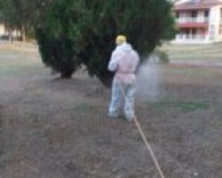 Πρόγραμμα καταπολέμησης κουνουπιών στο Δήμο Πέλλας