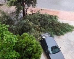 Προβλήματα από την συνεχή βροχόπτωση – Πτώση δέντρου σε κεντρικό σημείο της Έδεσσας