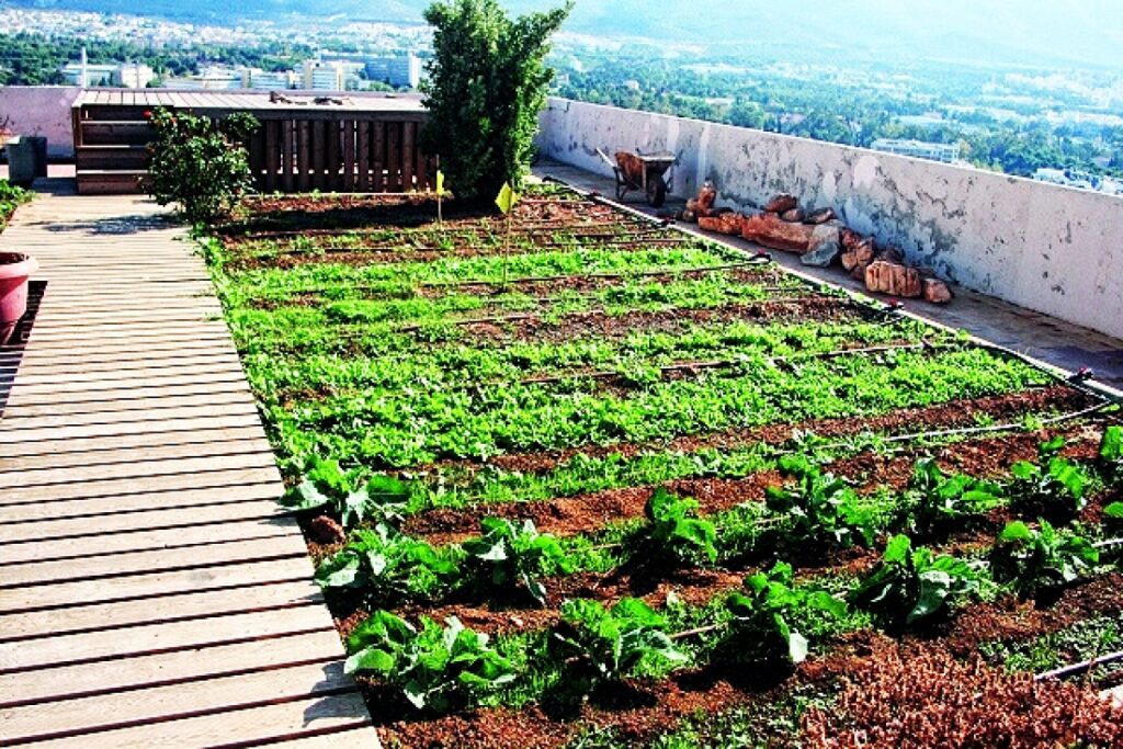 Δράσεις αστικής γεωργίας στην Περιφέρεια Κεντρικής Μακεδονίας στο πλαίσιο του ευρωπαϊκού έργου “CityZen”