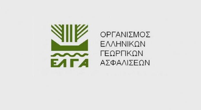 Αναγγελία ζημιάς για τον παγετό