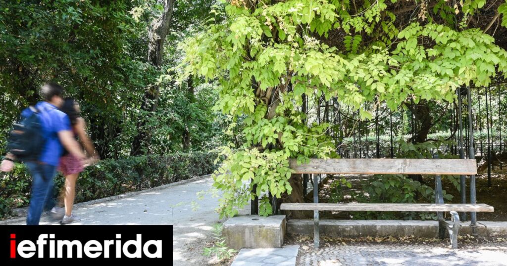 Έξτρα επιδόματα-ενισχύσεις για το Πάσχα, λόγω ακρίβειας -Ποιοι τα δικαιούνται