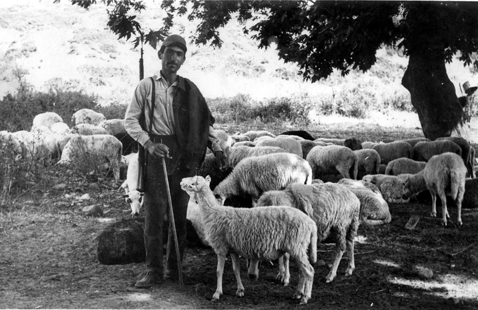 Ενίσχυση 200 ευρώ/ζώο, κατανομή βοσκοτόπων για γνήσιους βοσκούς.